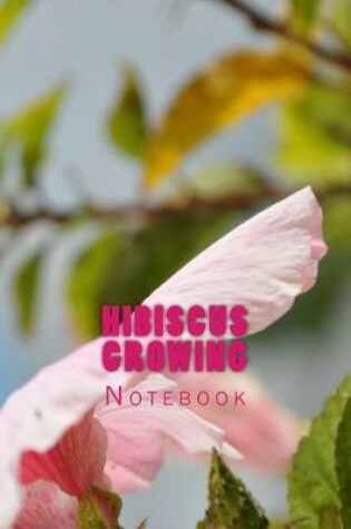 Cover of Hibiscus Growing