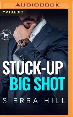 Book cover for Stuck-Up Big Shot