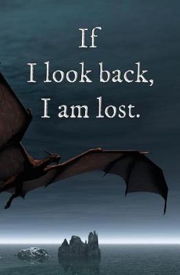 Book cover for If I Look Back, I am Lost