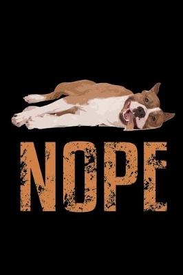 Book cover for Nope.