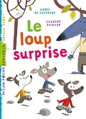 Book cover for Le Loup Surprise