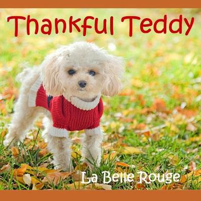 Book cover for Thankful Teddy