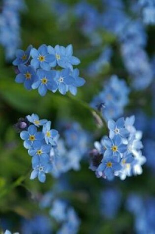 Cover of Forget Me Not Flowers in the Wild Up Close Journal