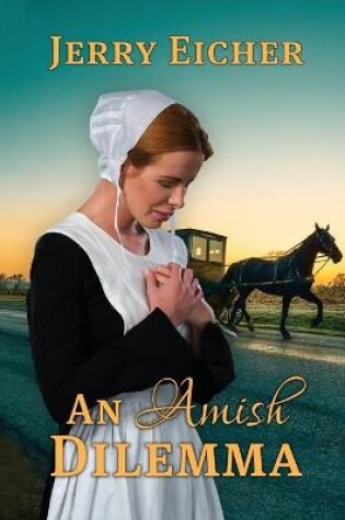 Cover of An Amish Dilemma