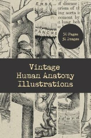 Cover of Vintage Human Anatomy Illustrations
