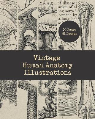 Cover of Vintage Human Anatomy Illustrations