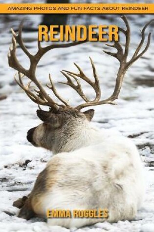 Cover of Reindeer