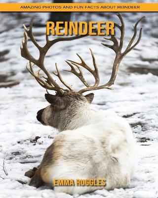 Book cover for Reindeer