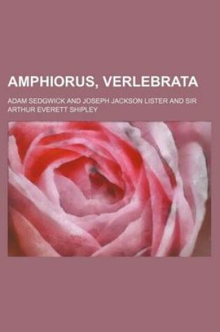 Cover of Amphiorus, Verlebrata