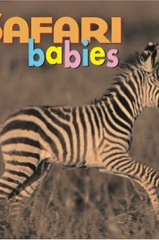 Cover of Safari Babies BD
