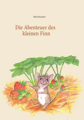 Book cover for Die Abenteuer des kleinen Finn