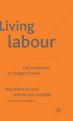 Book cover for Living Labour