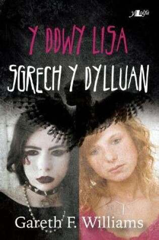 Cover of Cyfres y Dderwen: Y Ddwy Lisa - Sgrech y Dylluan