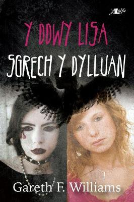 Book cover for Cyfres y Dderwen: Y Ddwy Lisa - Sgrech y Dylluan