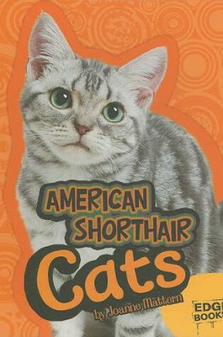 Cover of American Shorthair Cats