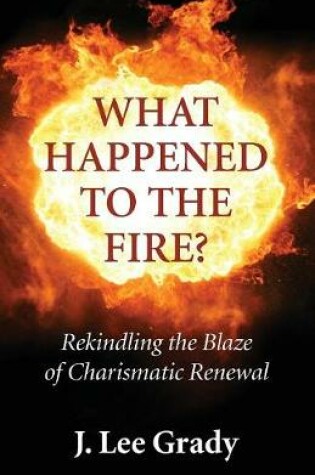 Cover of What Happened to the Fire?