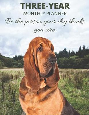 Book cover for Three Year Monthly Planner Starting 2020 Agenda with Weekly Plan Space - Best Gift For Bloodhound Owner - Funny Hound Dog Appointment Book for 2021 & 2022