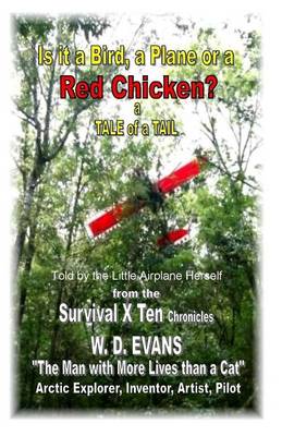 Book cover for Is It a Bird, a Plane, or a Red Chicken?