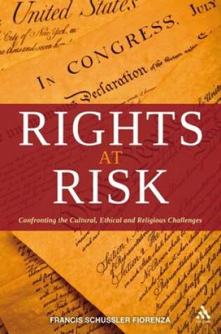 Cover of Rights at Risk