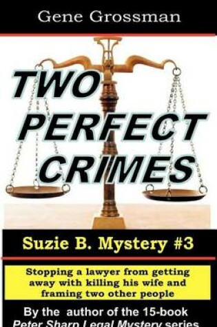 Cover of Two Perfect Crimes