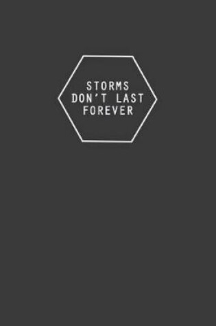 Cover of Storms Dont Last Forever