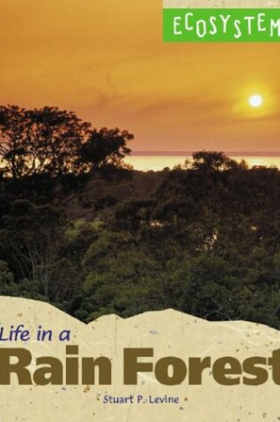 Cover of Life in a Rainforest