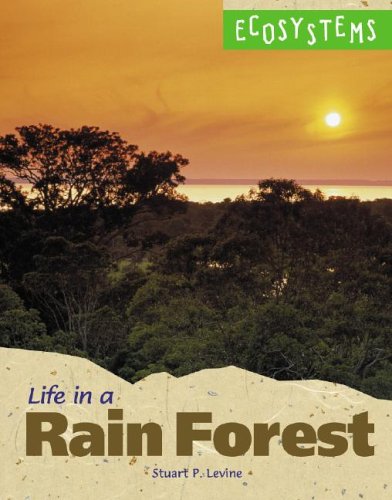 Book cover for Life in a Rainforest