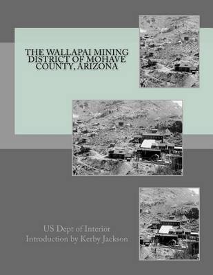 Book cover for The Wallapai Mining District of Mohave County, Arizona