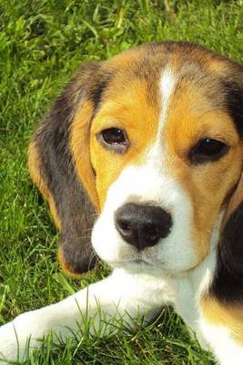 Book cover for Beagle Puppy Laying Down, for the Love of Dogs