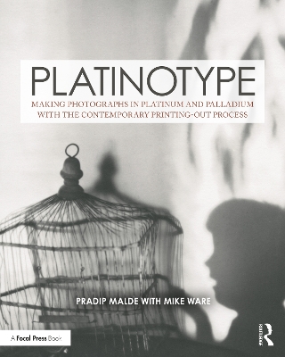 Cover of Platinotype