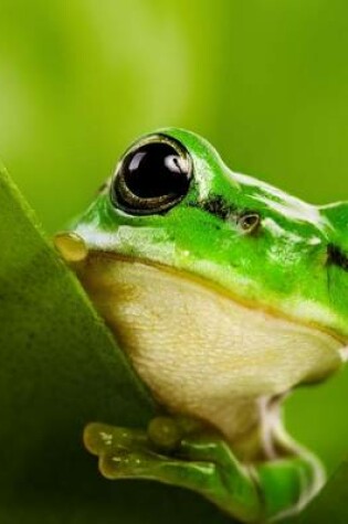 Cover of Jumbo Oversized Green Tree Frog Peak a Boo