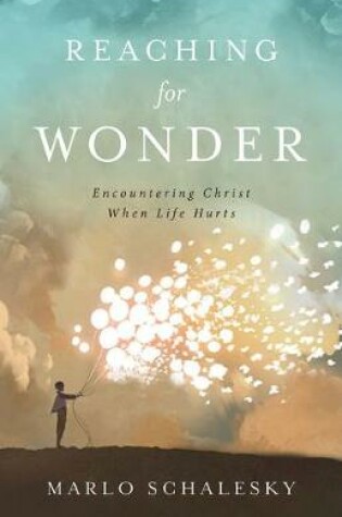 Cover of Reaching for Wonder