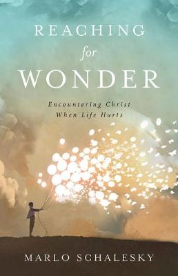 Book cover for Reaching for Wonder