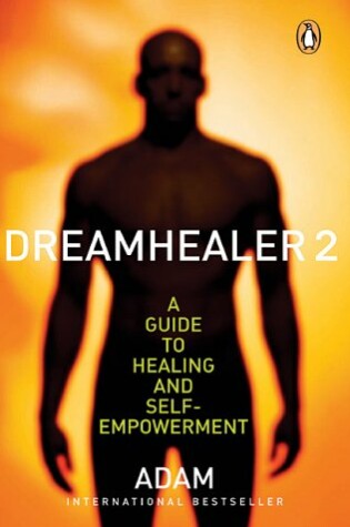 Cover of Dreamhealer 2 a Guide to Healing and Self Empowerment