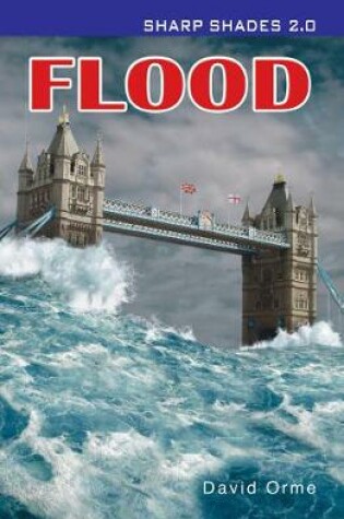 Cover of Flood  (Sharp Shades)