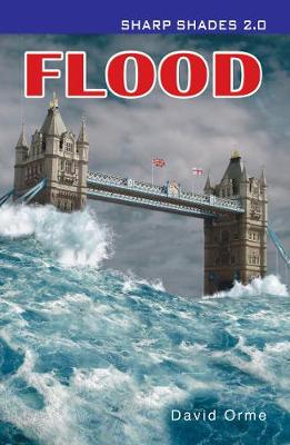Book cover for Flood  (Sharp Shades)