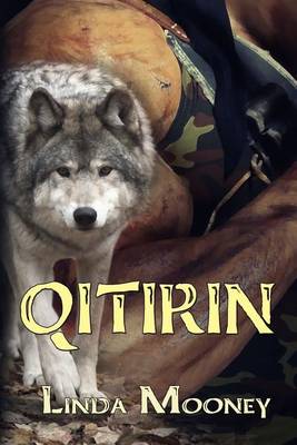 Book cover for Qitirin