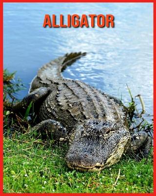 Book cover for Alligator