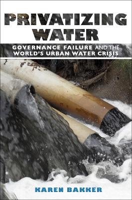 Book cover for Privatizing Water
