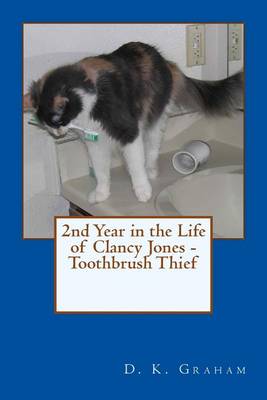 Book cover for 2nd Year in the Life of Clancy Jones - Toothbrush Thief