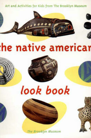 Cover of The Native American Art Look Book