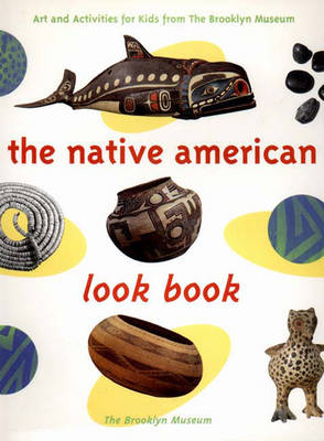 Book cover for The Native American Art Look Book