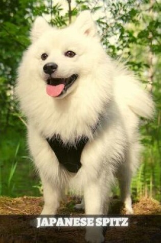 Cover of Japanese Spitz