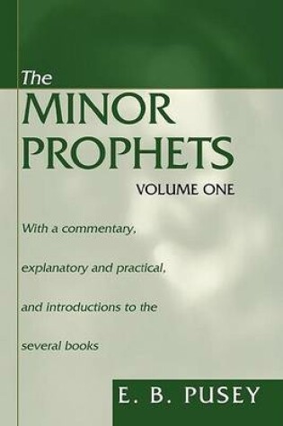 Cover of The Minor Prophets, 2 Volumes