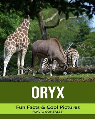 Book cover for Oryx