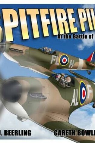 Cover of WWII Spitfire Pilot