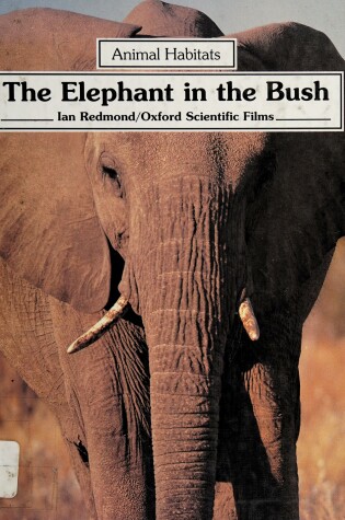 Cover of The Elephant in the Bush