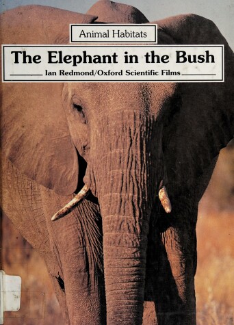 Cover of The Elephant in the Bush