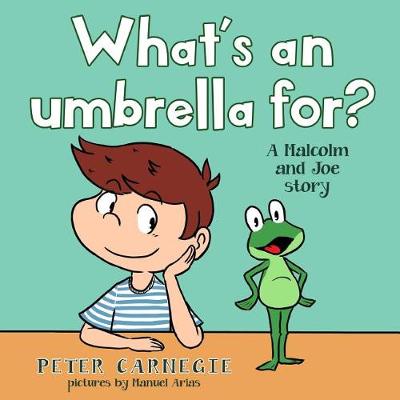 Book cover for What's an umbrella for?