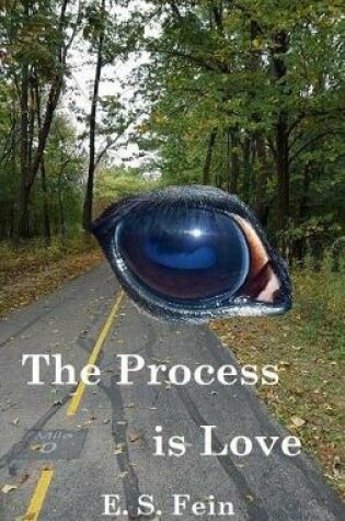Cover of The Process Is Love